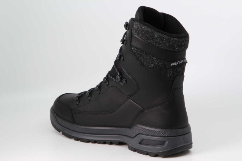 Renegade Evo Ice GTX Men schwarz – Bild 2